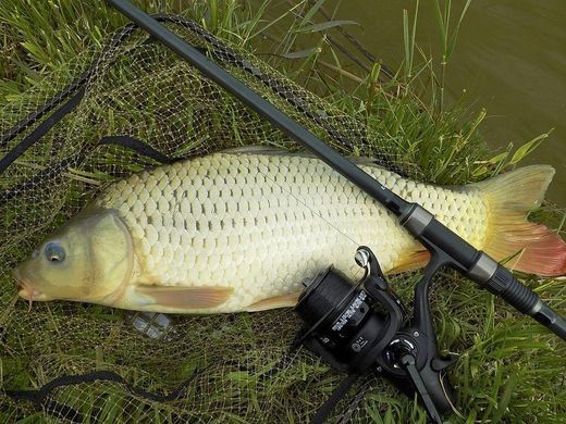 Котушка з байтраннером Carp Expert Neo Runner 6000, 9+1bb