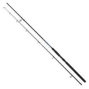 Спиннинг Golden Catch Passion Power 2.70 м., 40-125 г.