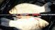 Фидер Carp Expert Pro Power Feeder 3,90 м., 100-150 г.
