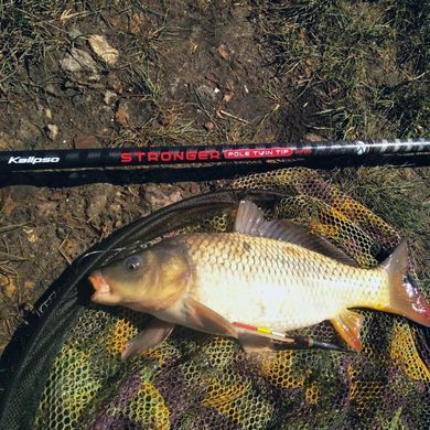 Маховое удилище Kalipso Stronger pole twin tip 5.00-6.00m