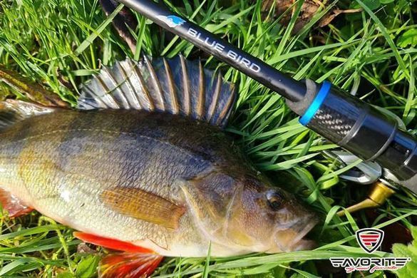 Спиннинг Favorite Blue Bird BB1-682SUL-S 2.04m 0.8-5g Ex.Fast