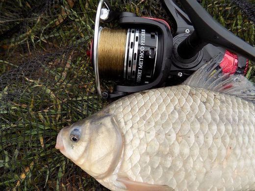 Котушка з байтраннером Carp Expert Method Feeder Runner 50
