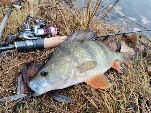 Спиннинг ультралайт Crazy Fish Arion ASR702ULS (0.7-5g 209cm 0,2-0,4 PE EFF Action)