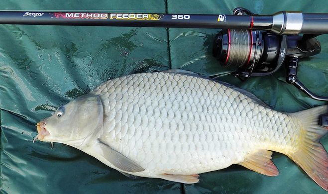 Катушка Carp Expert Pro Power Feeder 5000 5bb+1rb 4.4:1