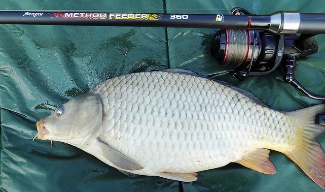 Катушка Carp Expert Pro Power Feeder 5000 5bb+1rb 4.4:1