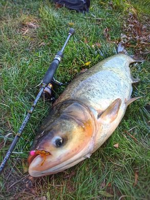 Спінінг ультралайт Crazy Fish Arion ASRE742ULS (1-7g 224cm 7'4" 0,2-0,4 PE EFF Action)