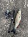 Спінінг ультралайт Crazy Fish Arion ASRE742ULS (1-7g 224cm 7'4" 0,2-0,4 PE EFF Action)