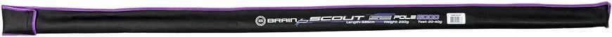 Вудилище махове Brain Scout SE Pole 6m