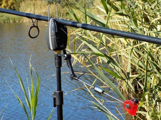 Набор сигнализаторов Carp Expert ADIGE (4+1) 200 м.