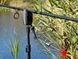 Набор сигнализаторов Carp Expert ADIGE (4+1) 200 м.