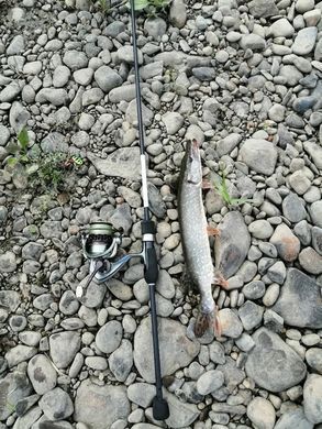 Спінінг Favorite White Bird WBR1-732UL-S 2.19m 1.5-7g Ex.Fast