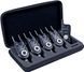 Набор сигнализаторов World4Carp SLIMMER (WC340)