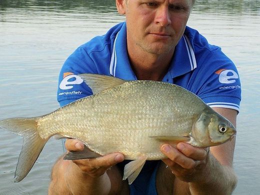 Фідер Carp Expert River Feeder 3,60 м., 120-250 р.