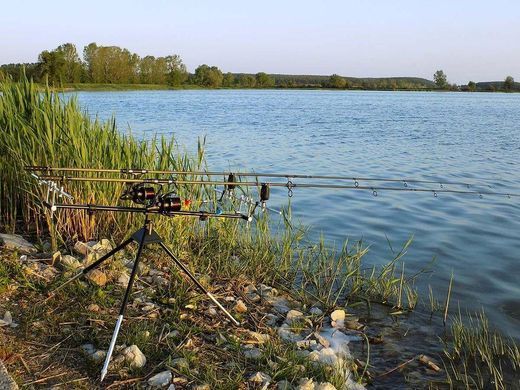 Набор беспроводных сигнализаторов Carp Expert Tevere (4+1) 150 м.