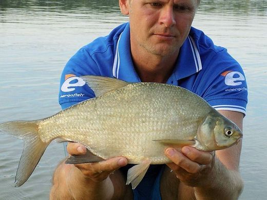 Фідер Carp Expert River Feeder 3,90 м., 120-250 р.